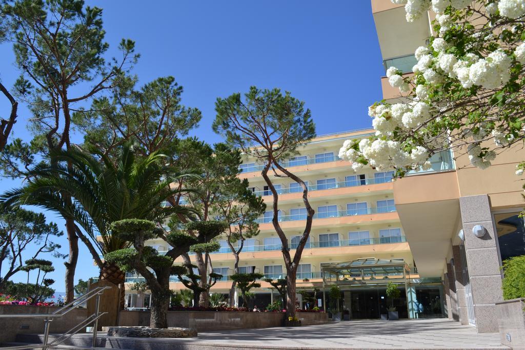Suite Junior con vistas al mar