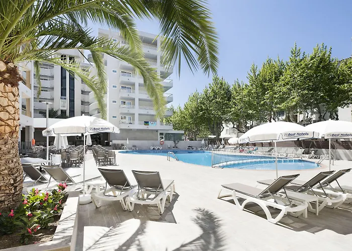 Hôtel accueillant les animaux: Hotel Best Da Vinci